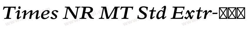 Times NR MT Std Extr字体转换